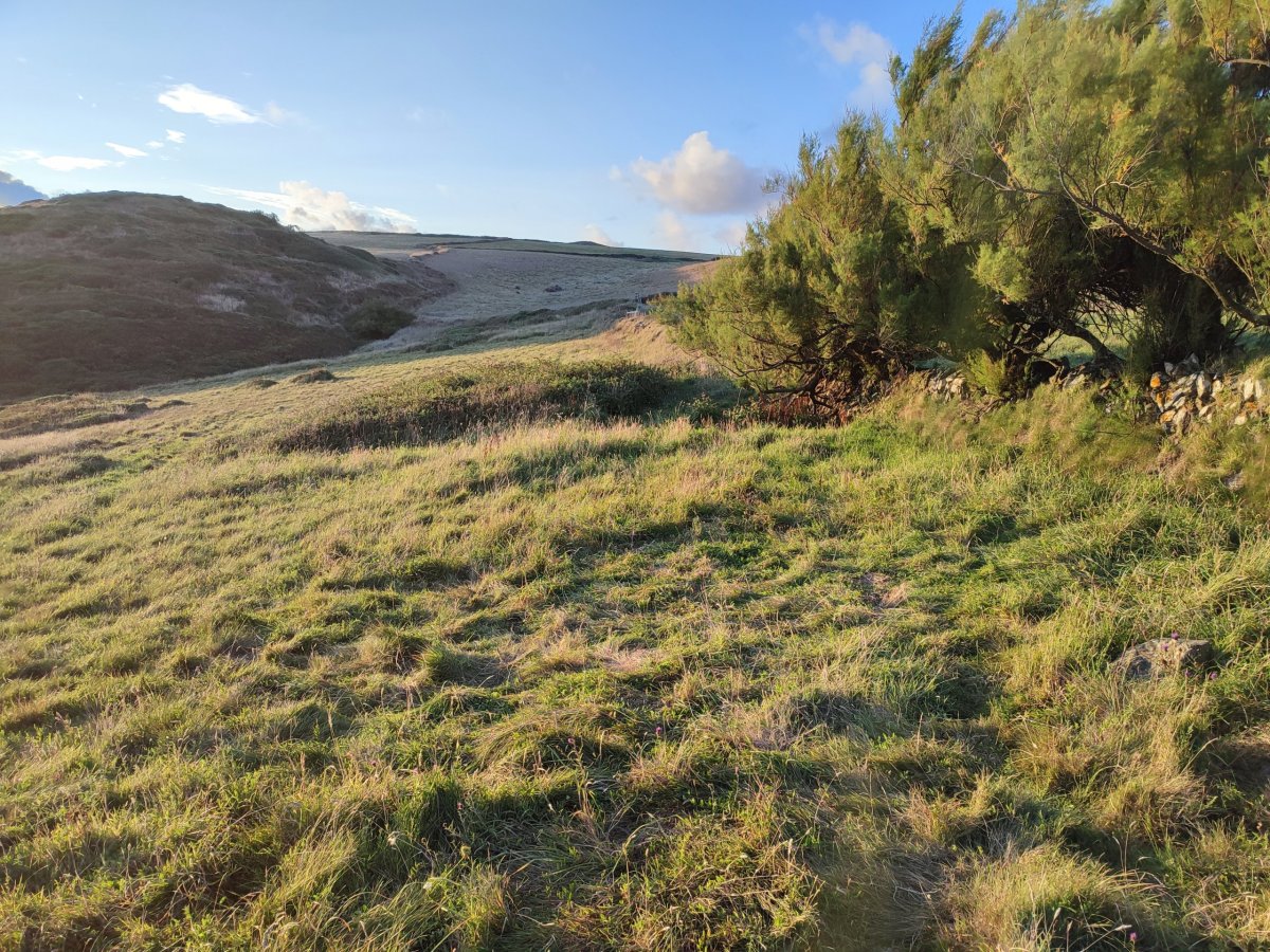 Tady to je ten plácek, kde budeme dneska bydlet!