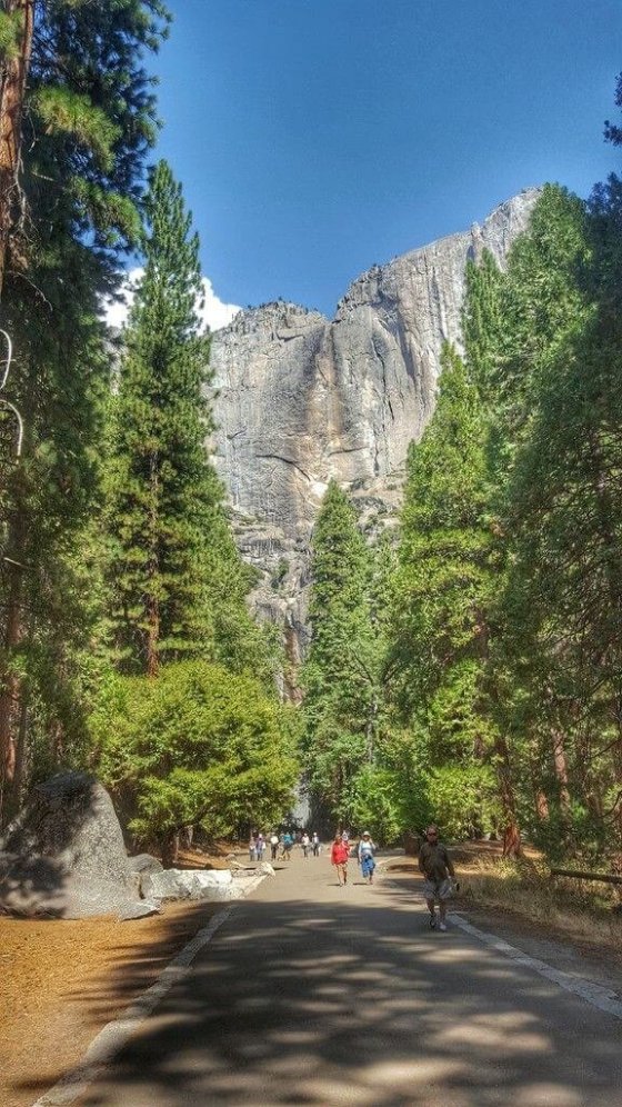 Lower Yosemite Falls