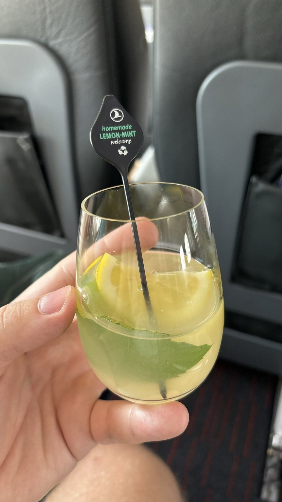 Mátovo-citrónová limonáda