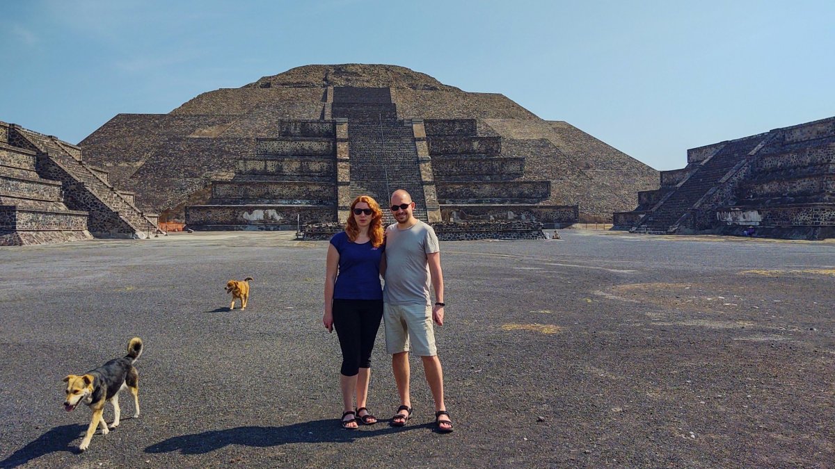 V areálu se toulá dost psů, ale chovají se přátelsky