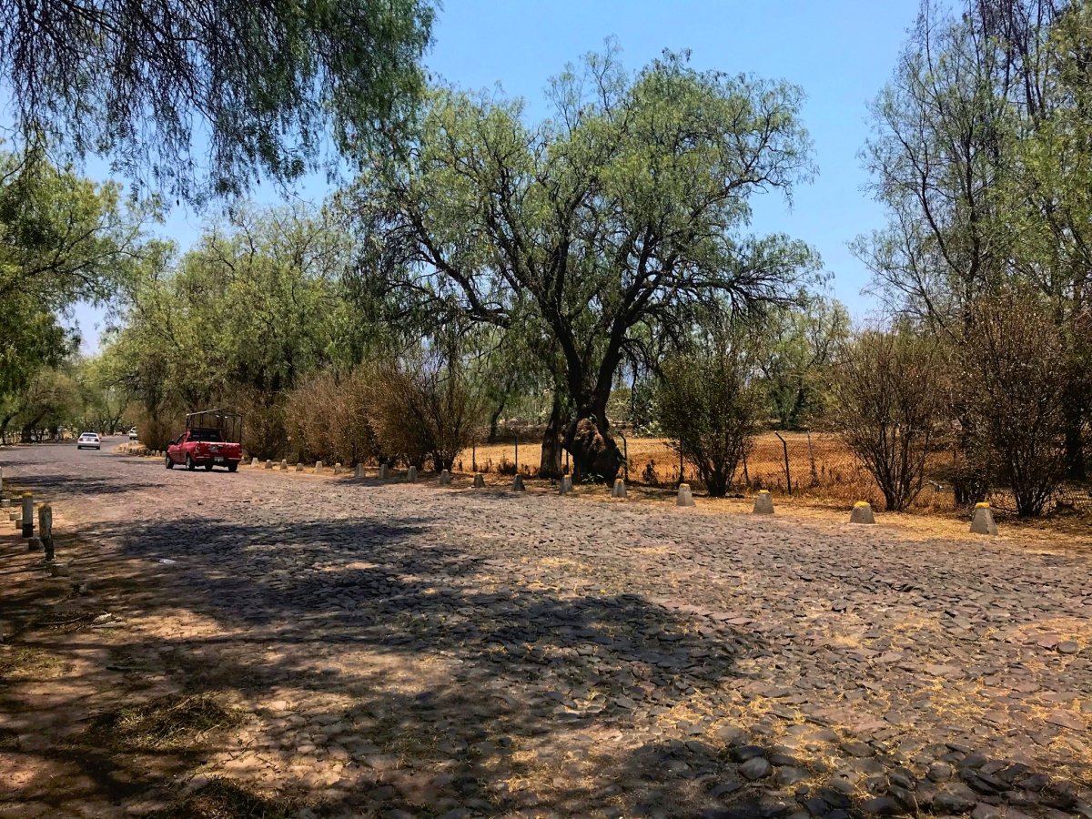 Čekání na autobus u hlavní cesty
