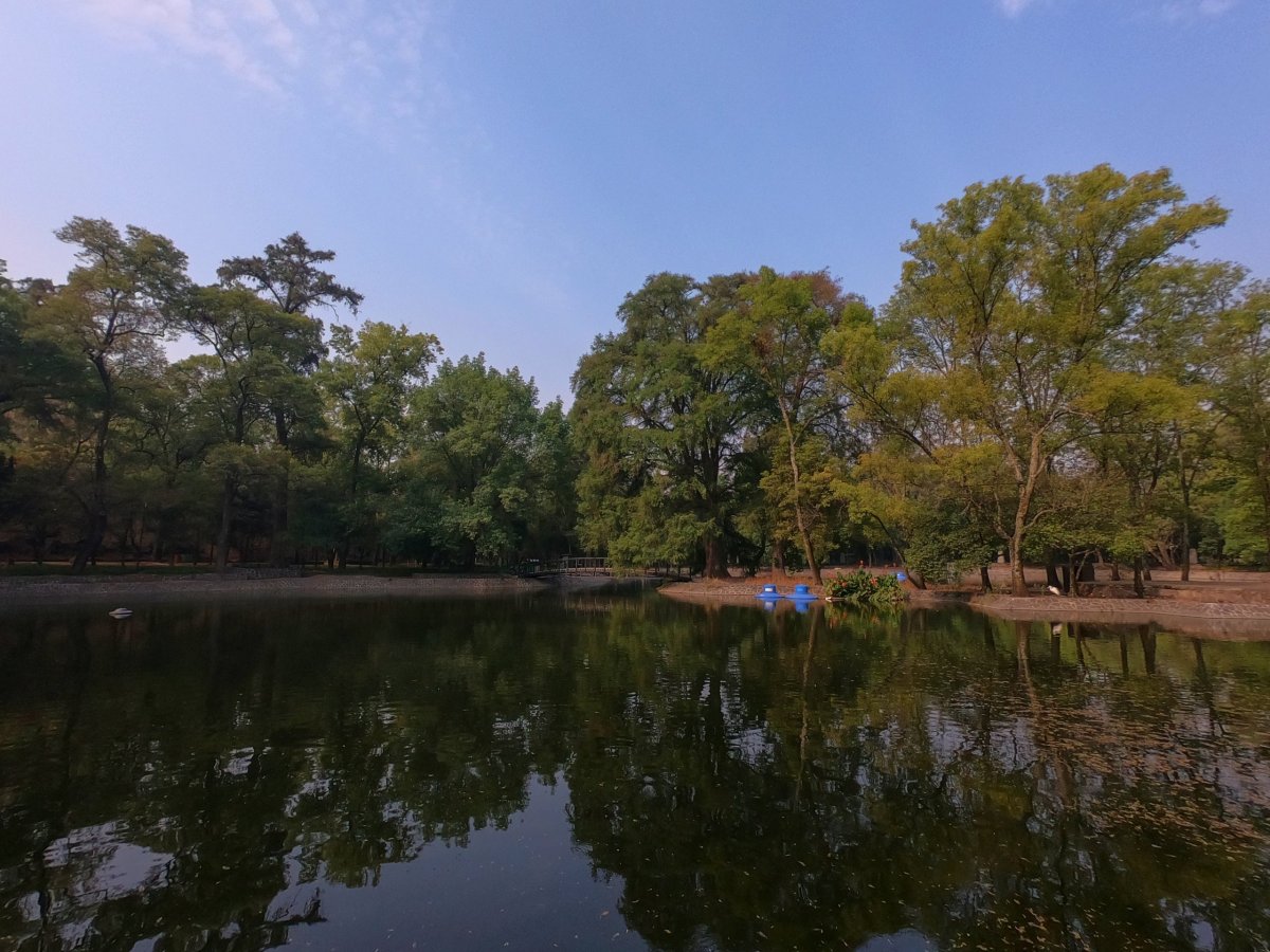 Bosque de Chapultepec I Secc