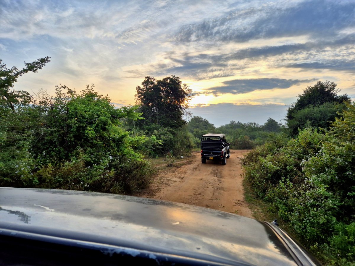 Safari v Udawalawe