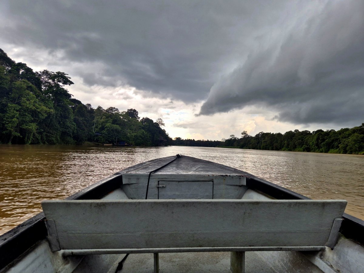 Řeka Kinabatangan