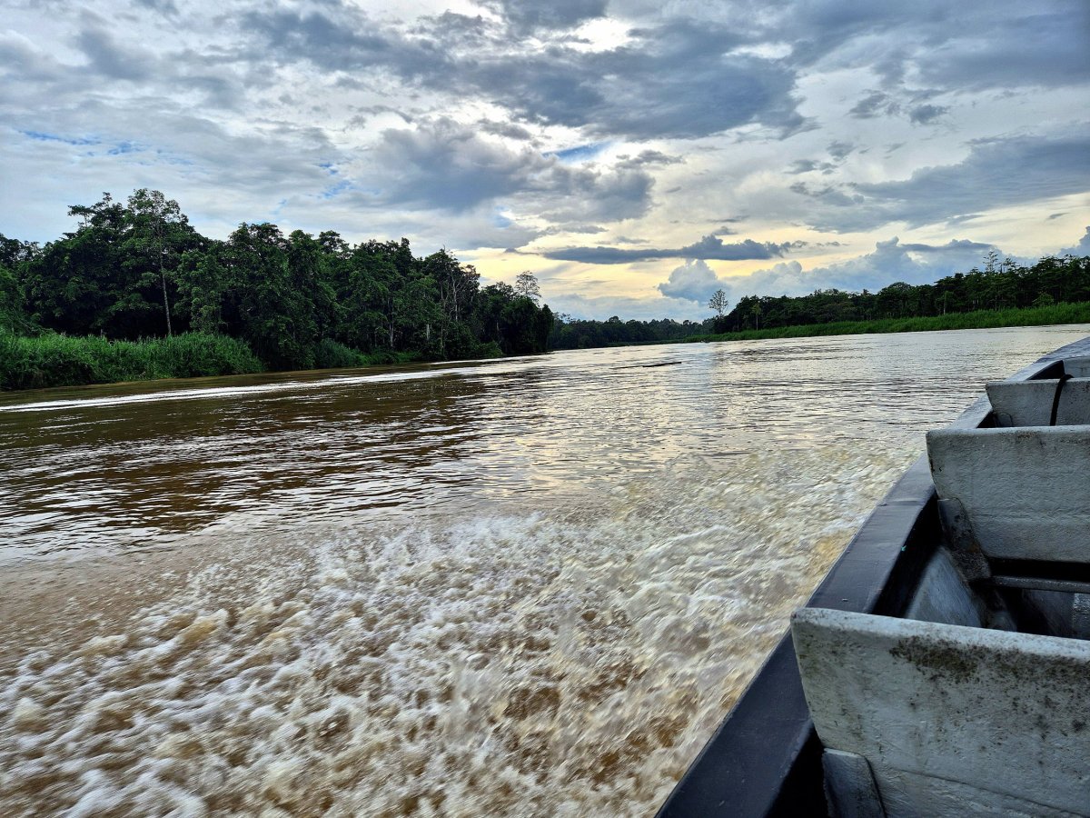 Řeka Kinabatangan