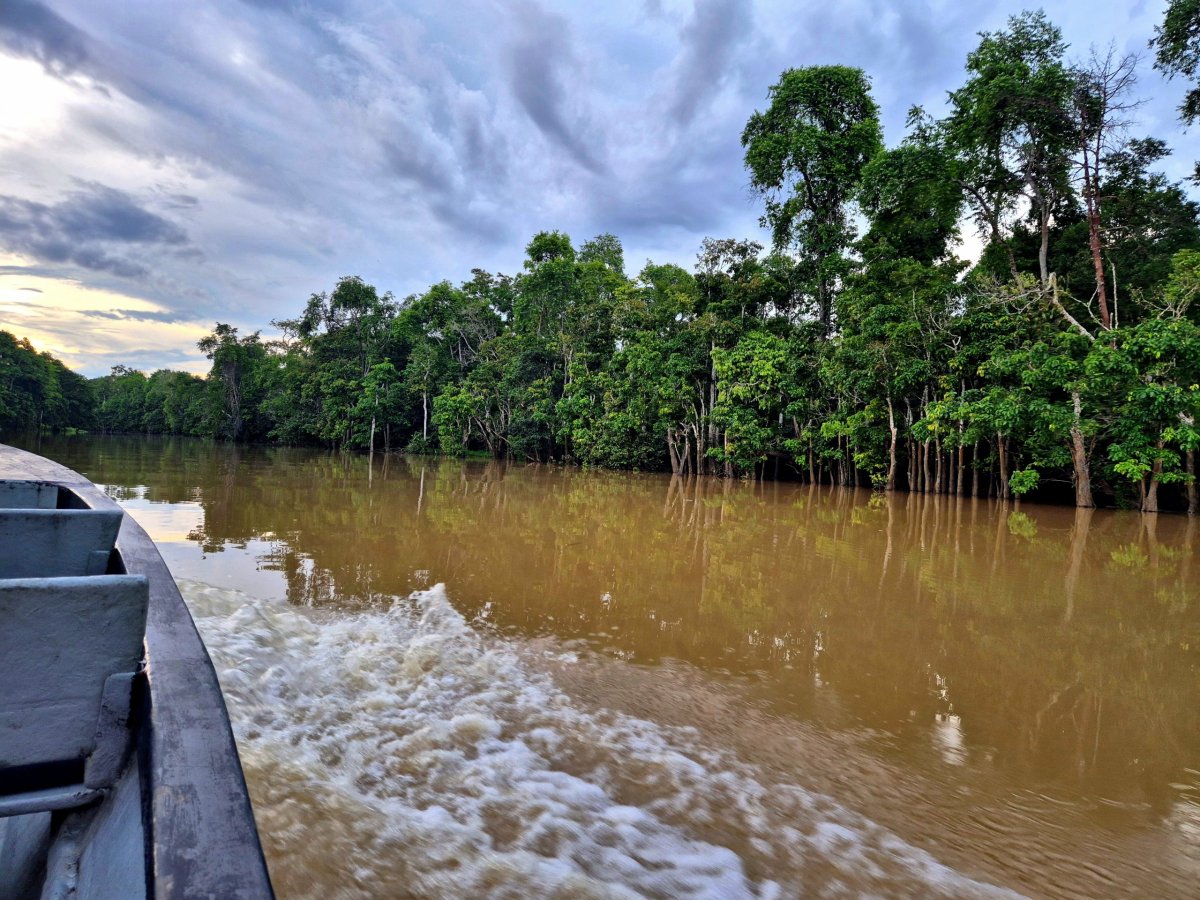 Řeka Kinabatangan