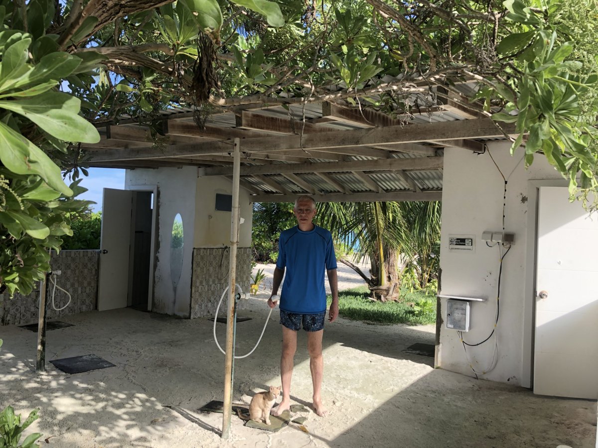 Sprchování s kočkami