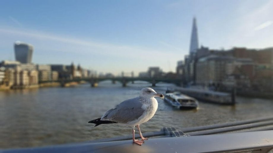 London, Great Britain