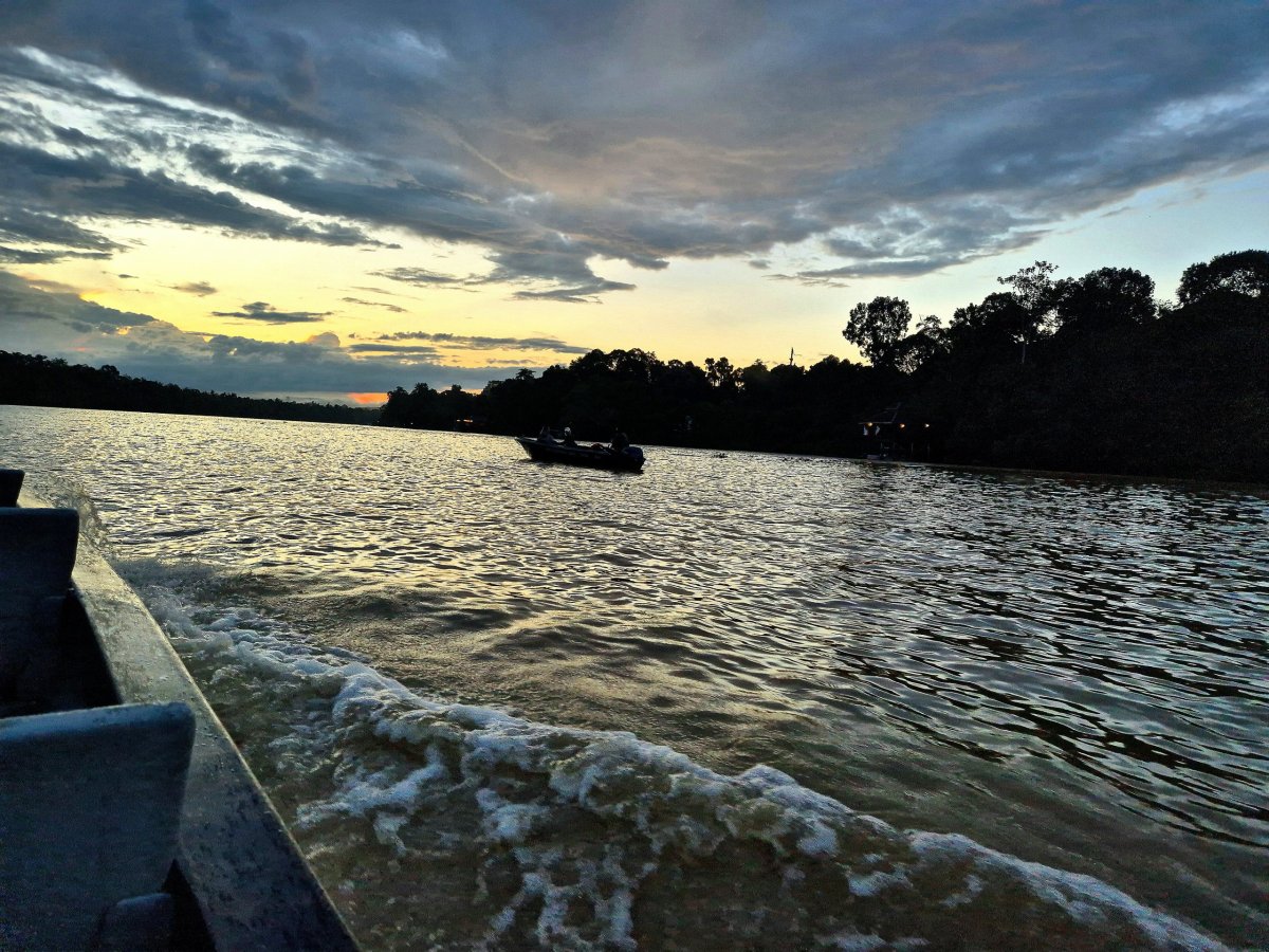 Řeka Kinabatangan