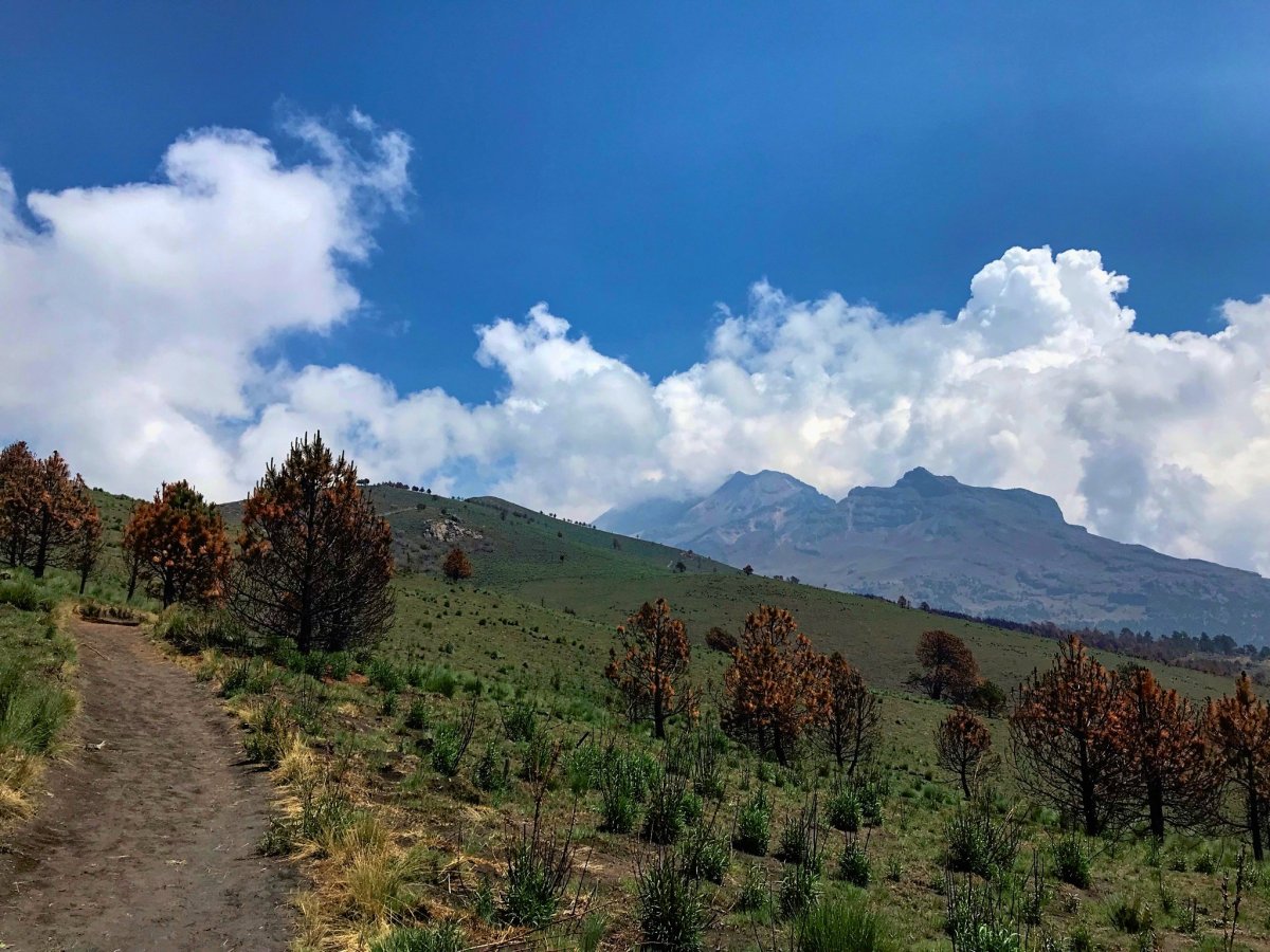 Tímto směrem dnes míříme