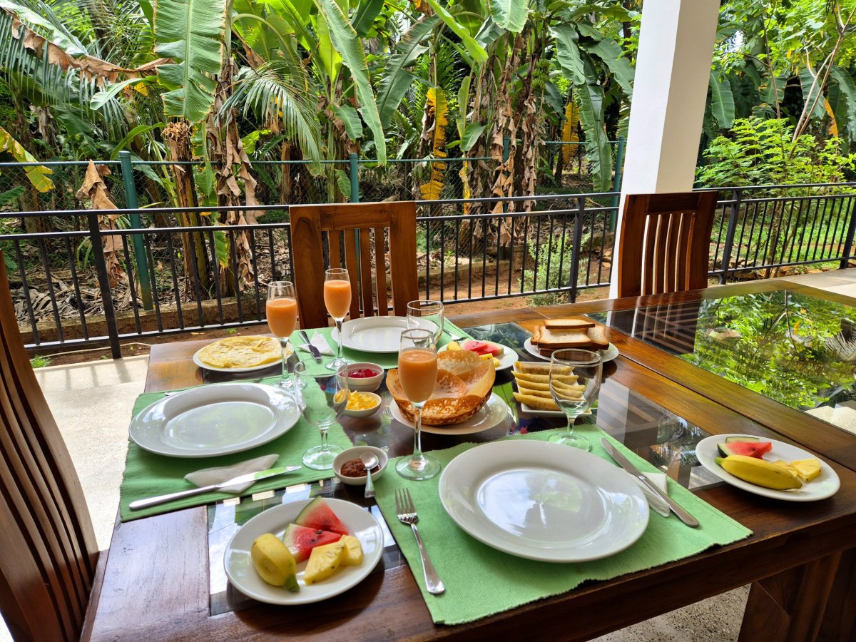 Snídaně ve Wild Safari Nest