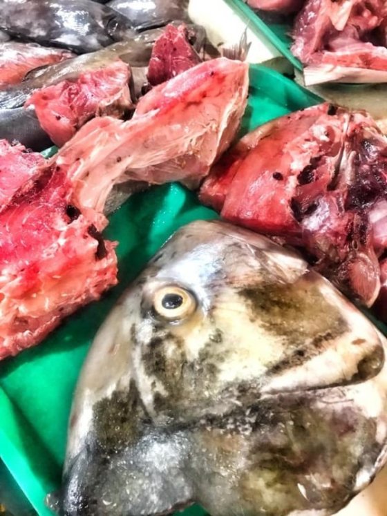 Rybí trh v Jagna