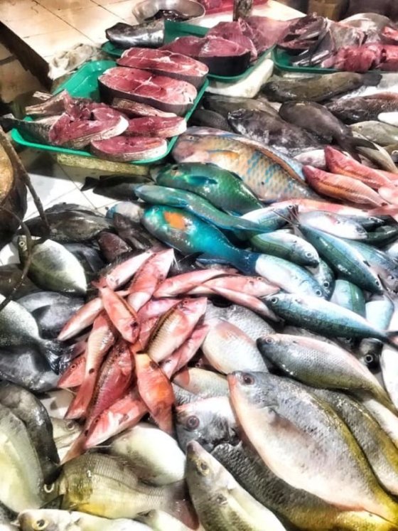 Rybí trh v Jagna