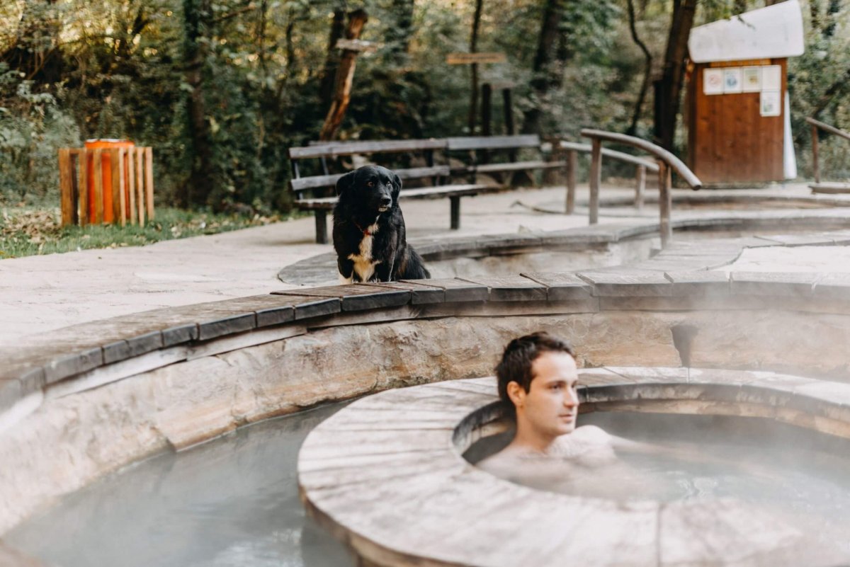 O tohoto Ťunťu bylo postaráno podle vrstvy tuku dobře, což na Balkáně bohužel vůbec není samozřejmost... (řeč je o psovi, ne o m