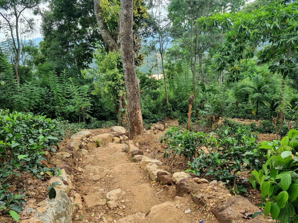 Cesta k Diyaluma Falls