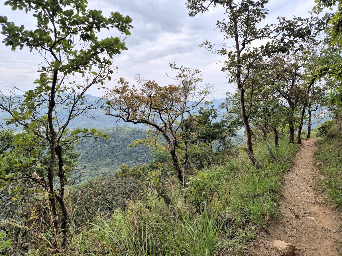 Cesta k Diyaluma Falls