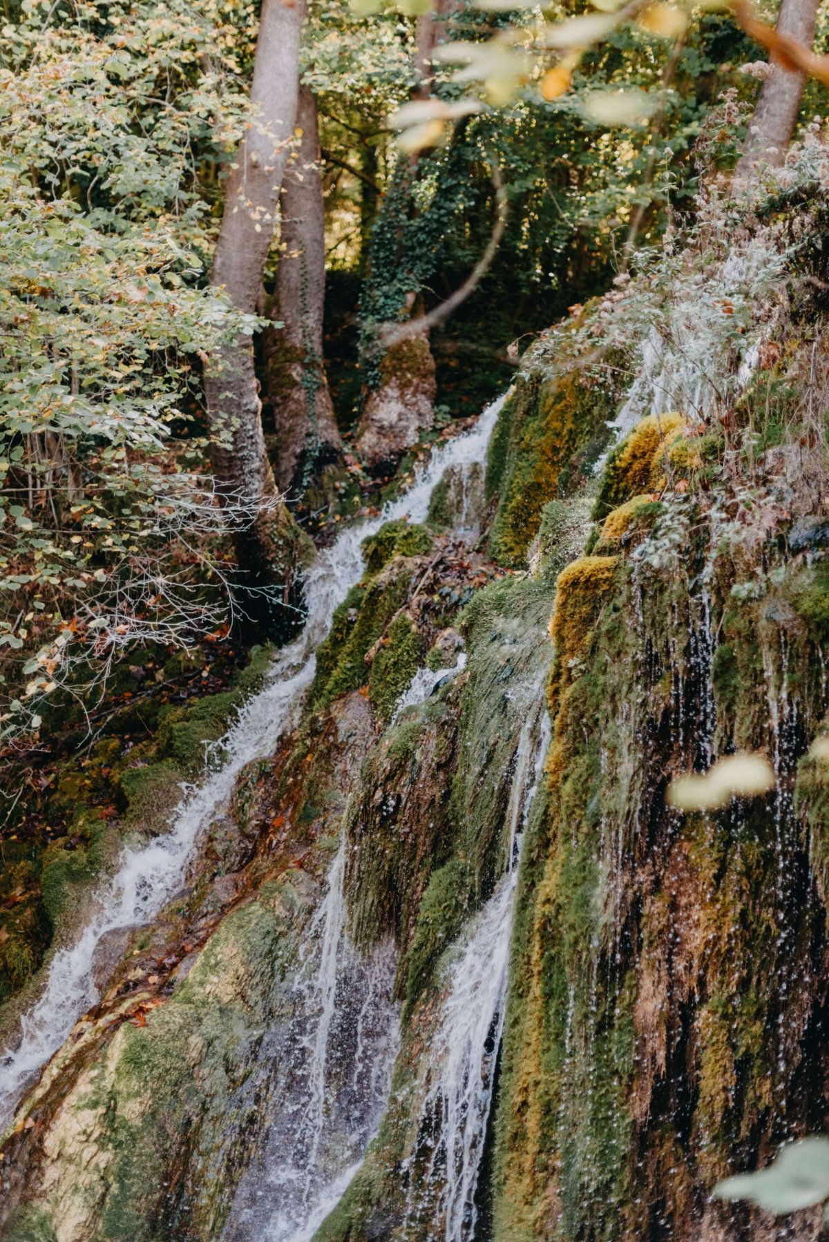 Vodopád byl docela hezký, ale to bych si nemohla omylem vzít s sebou jen 50mm objektiv... 