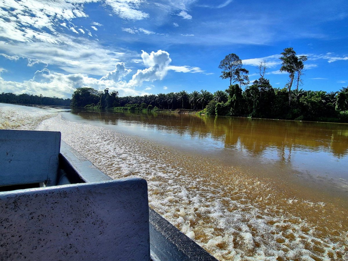 Řeka Kinabatangan