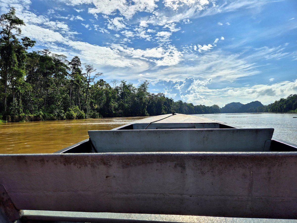 Řeka Kinabatangan