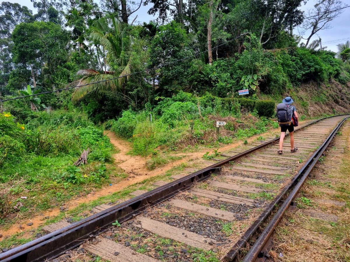 Cesta k Rose Dale Homestay 