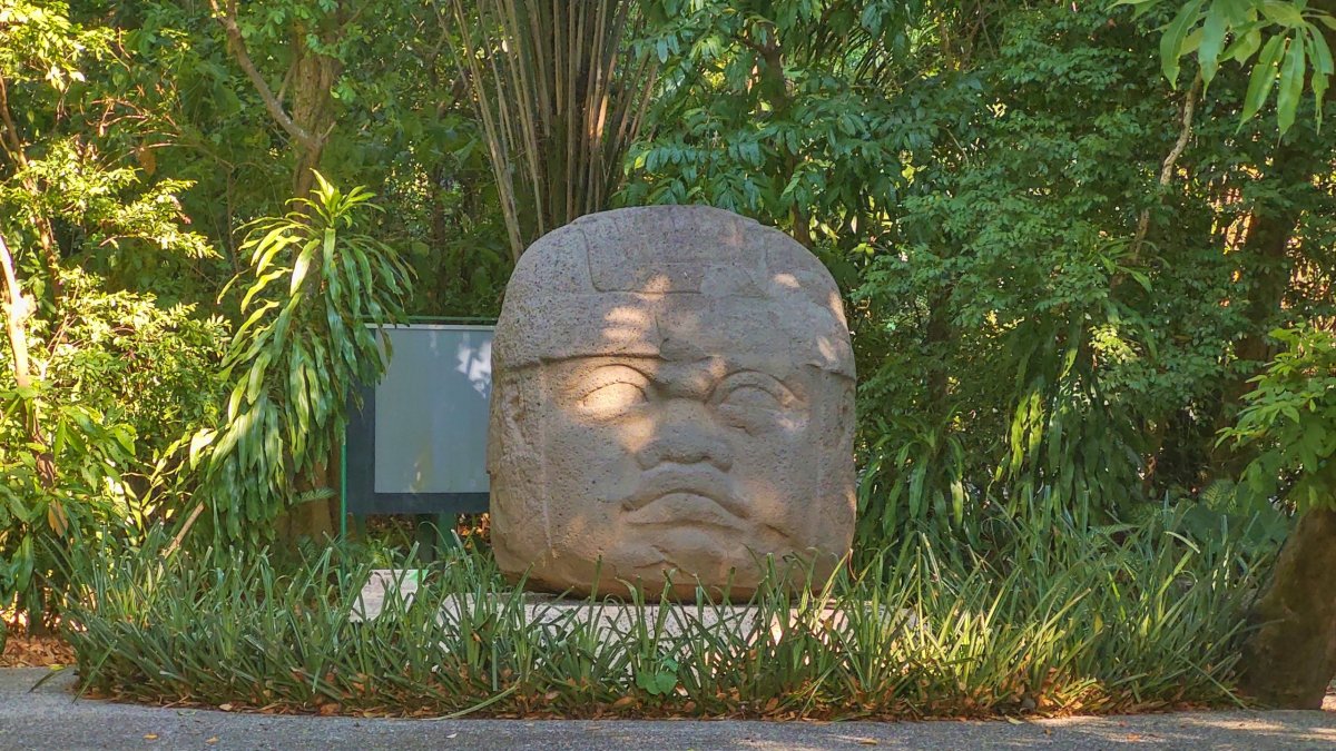 Olmécká kamenná hlava