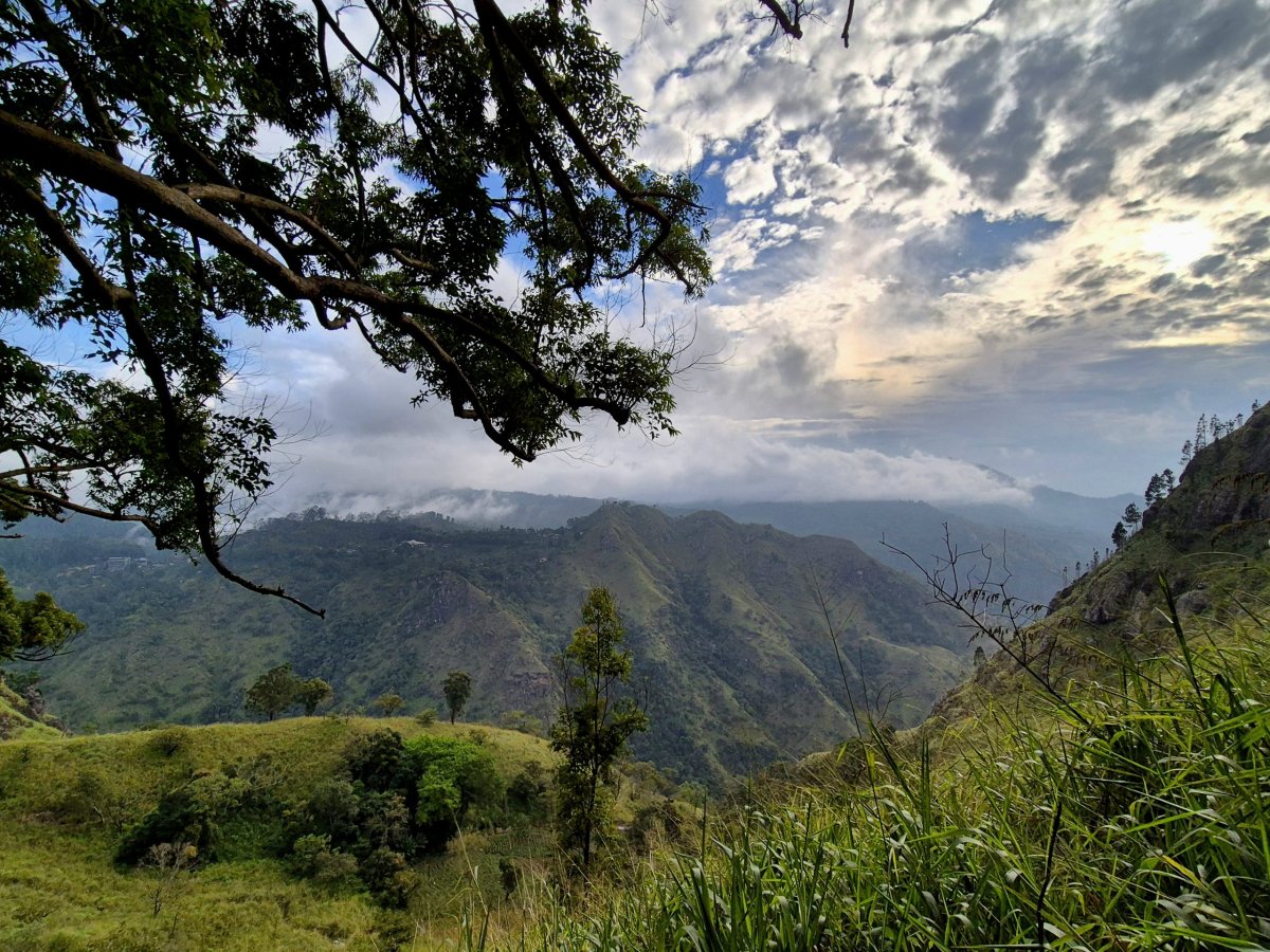 Vyhlídka pod Ella Rock