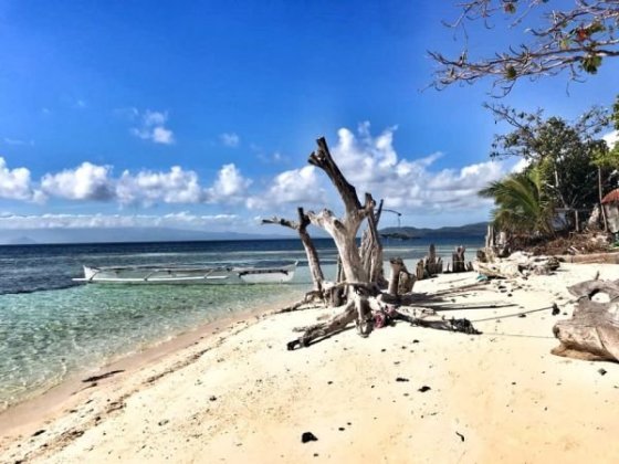 Mantique Island - část domorodců