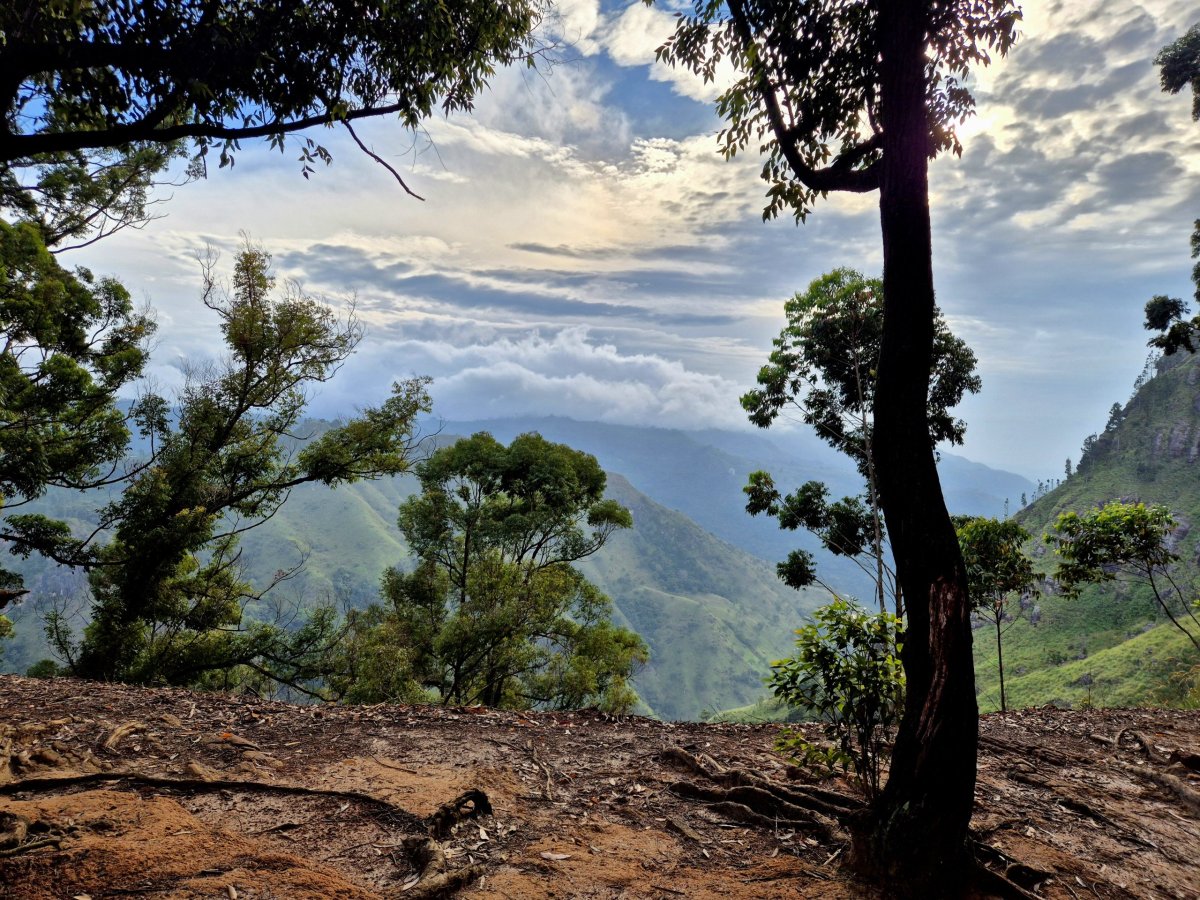 Vyhlídka pod Ella Rock