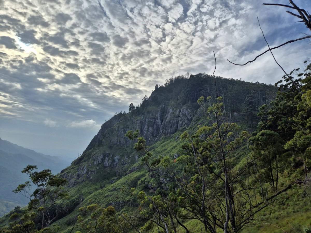 Vyhlídka pod Ella Rock