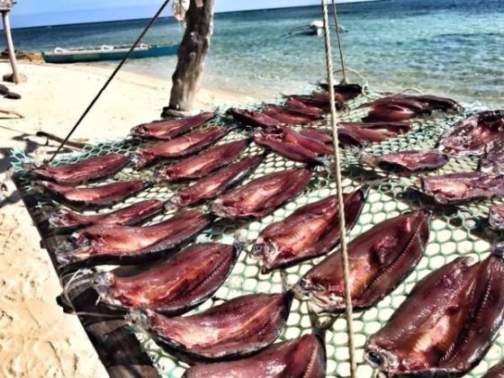 Mantique Island - část domorodců