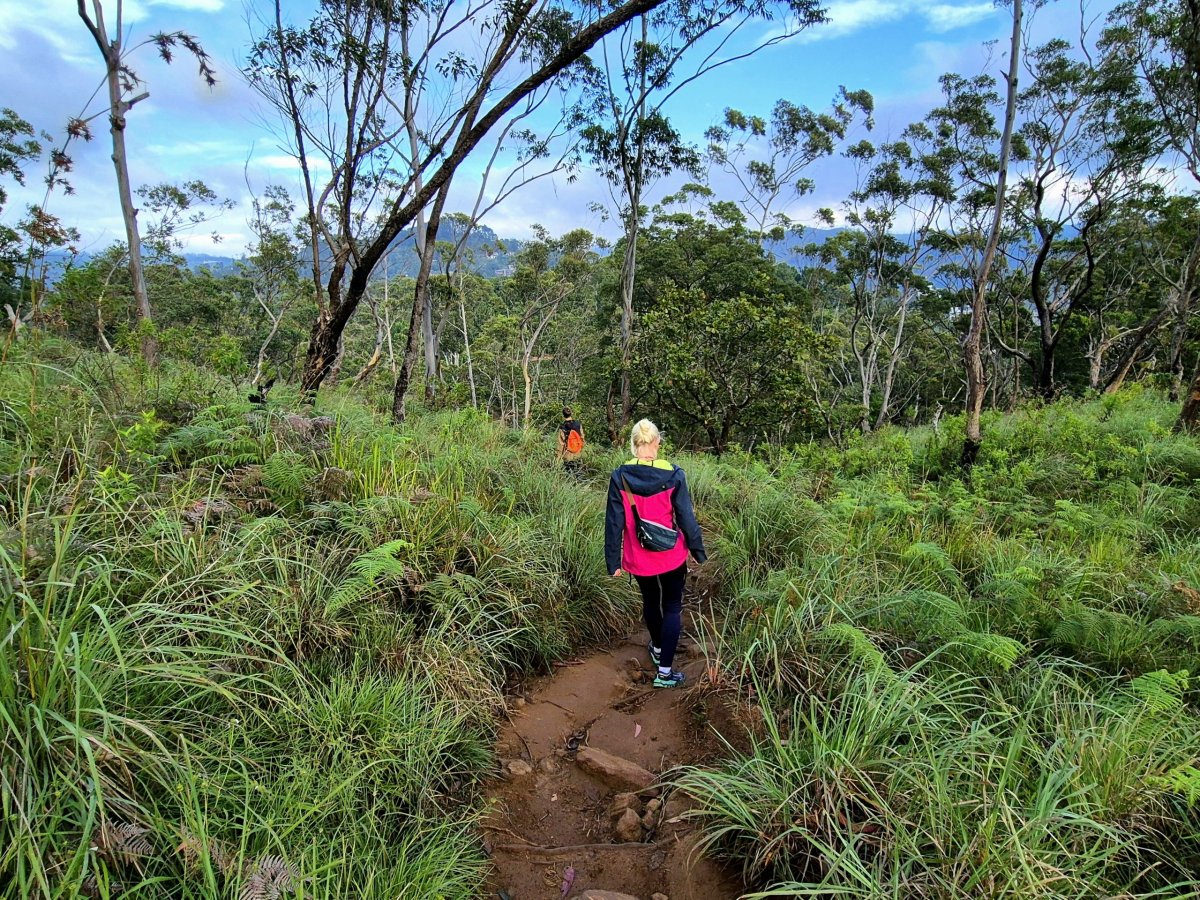 Prostředí ideální pro pijavice