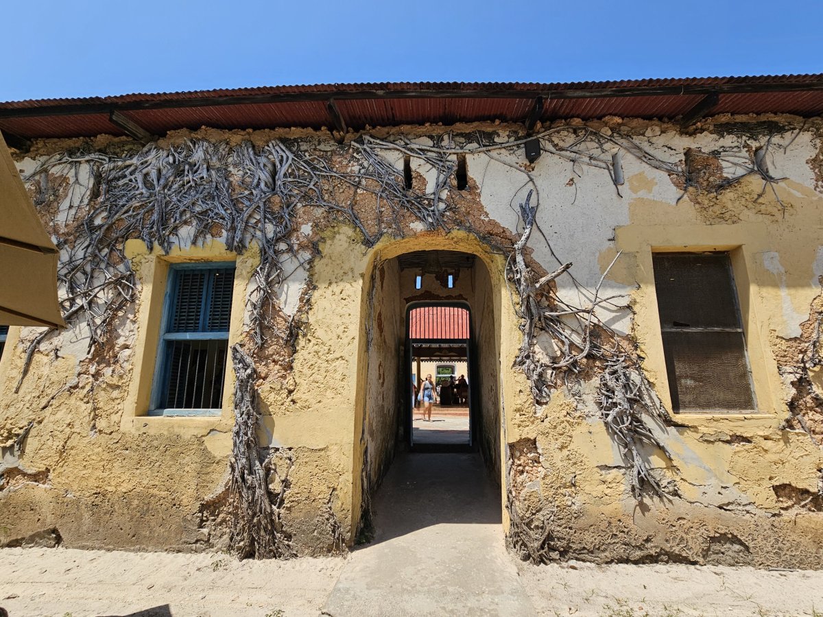 Prison Island, budova vězení