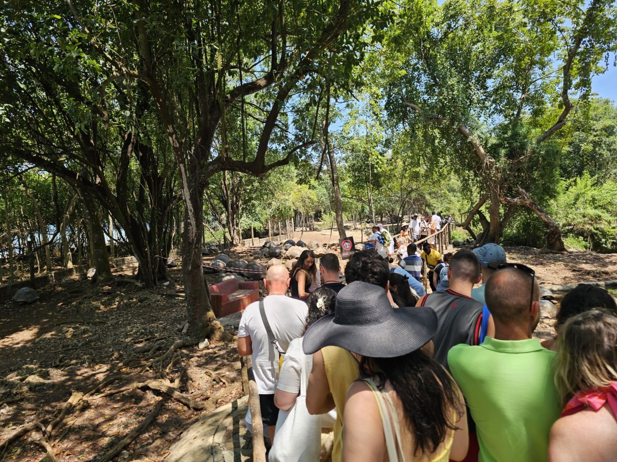 Prison Island, chodníček skrz výběh želv obrovských