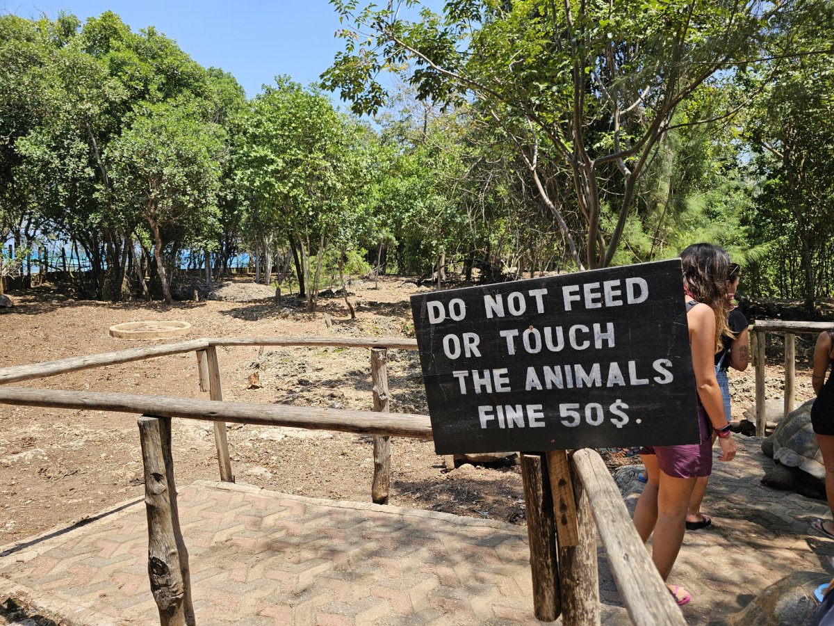 Prison Island, želvy obrovské