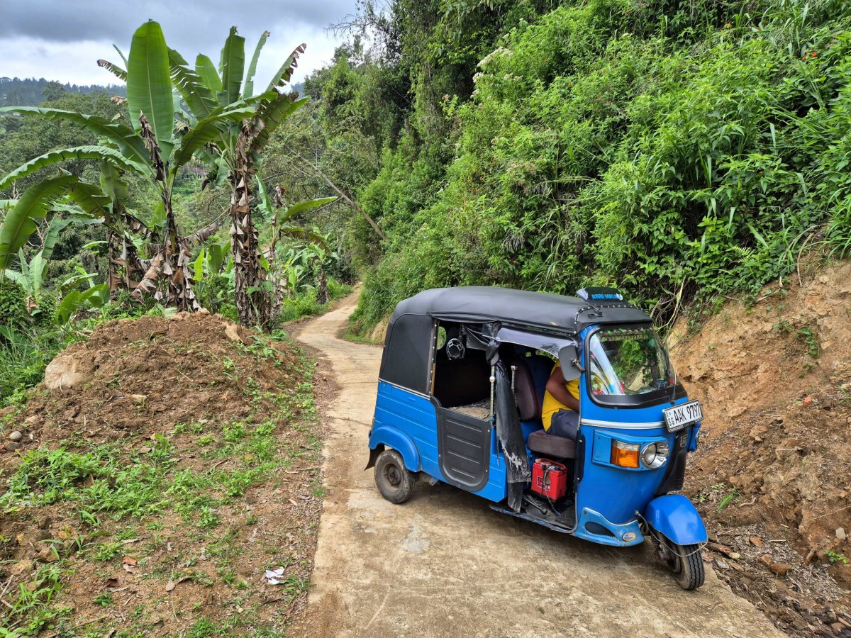 První setkání s Buddikou