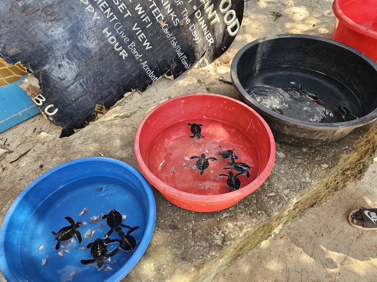 Nungwi, Mnarani Aquarium