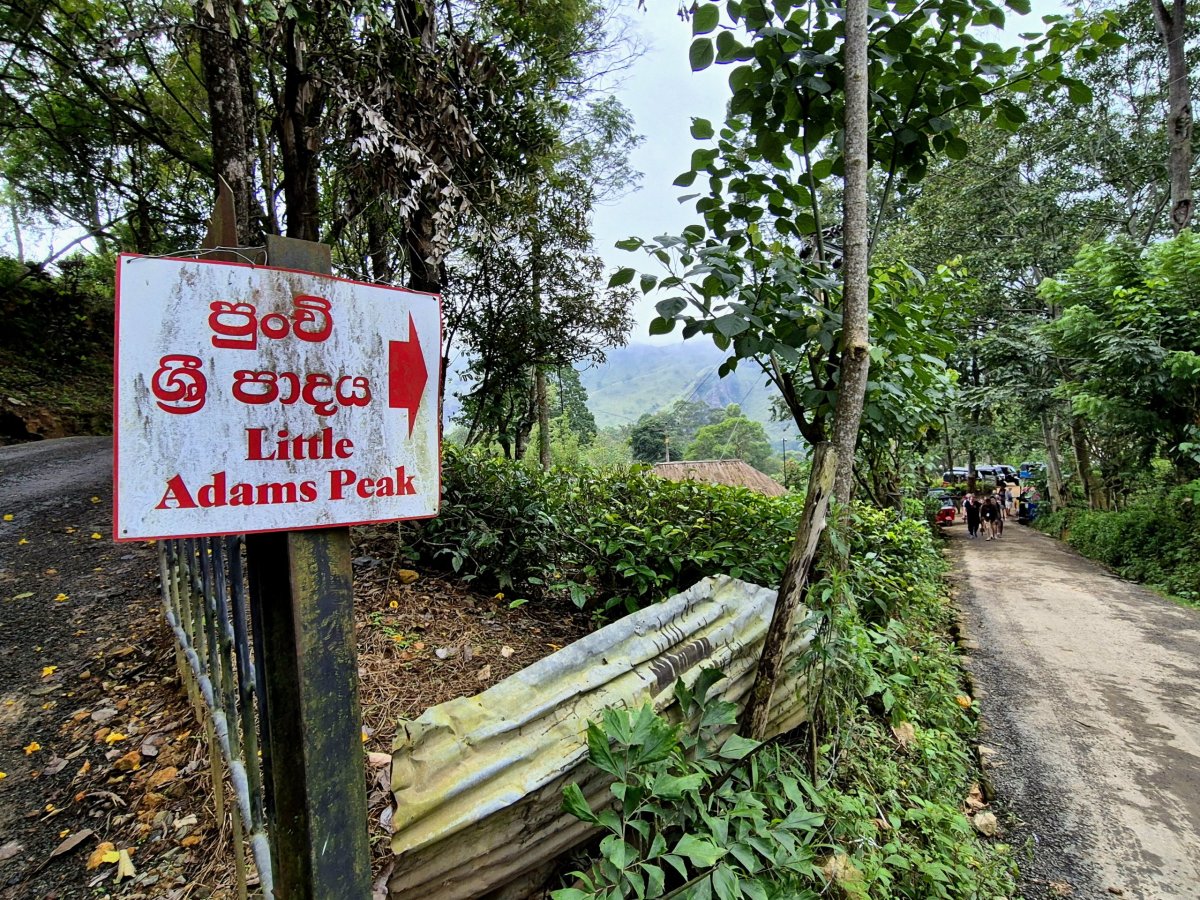 Cesta k Little Adam's Peak 