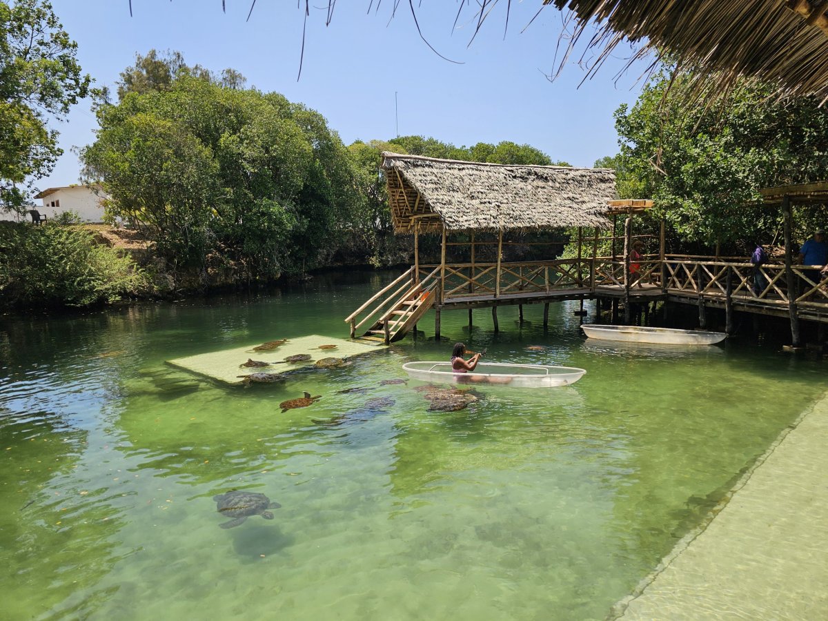 Nungwi, Mnarani Aquarium