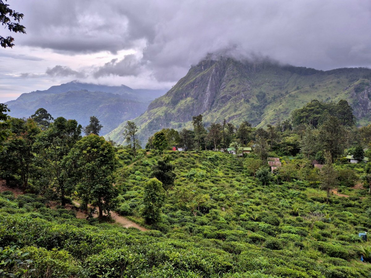 Cesta k Little Adam's Peak