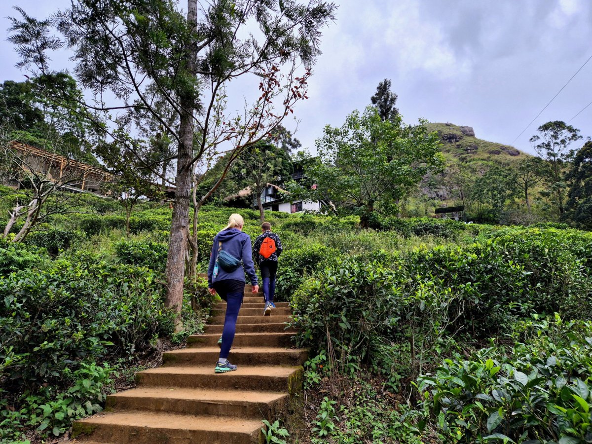 Cesta k Little Adam's Peak