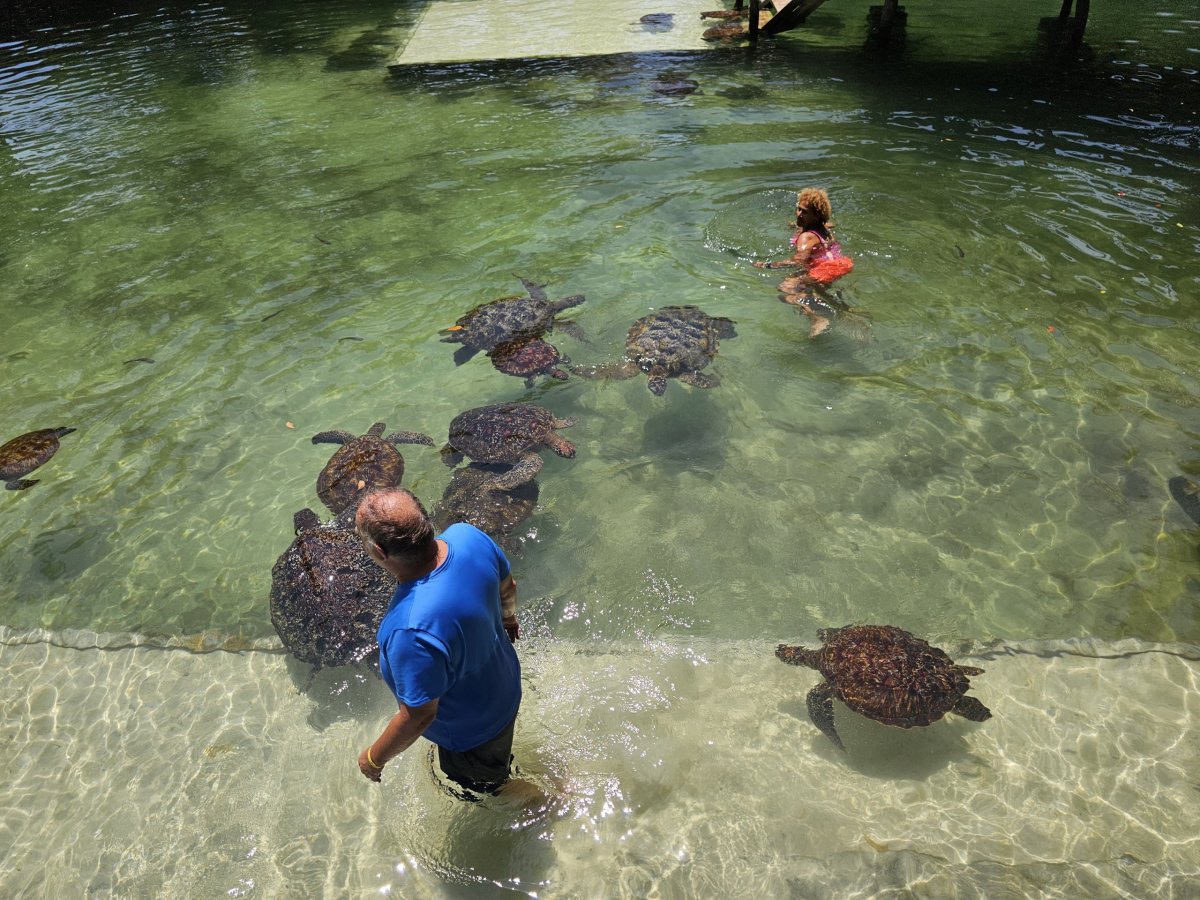 Nungwi, Mnarani Aquarium