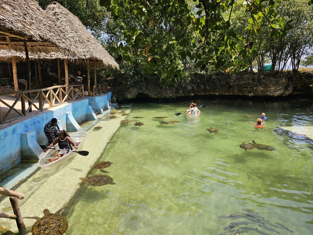 Nungwi, Mnarani Aquarium