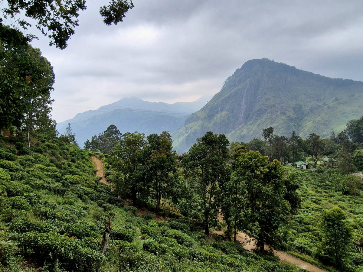 Vyhlídky okolo Malého Adama