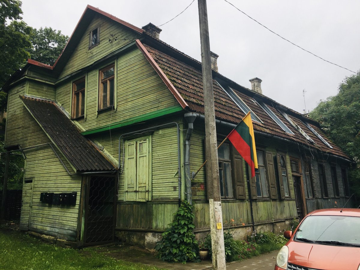 S litevskou vlajkou