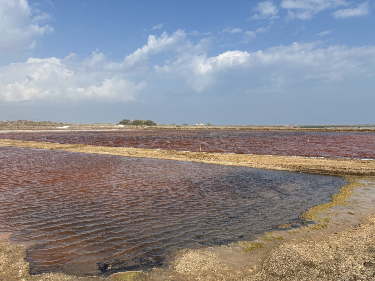 Solné pláně u Qurayyaru