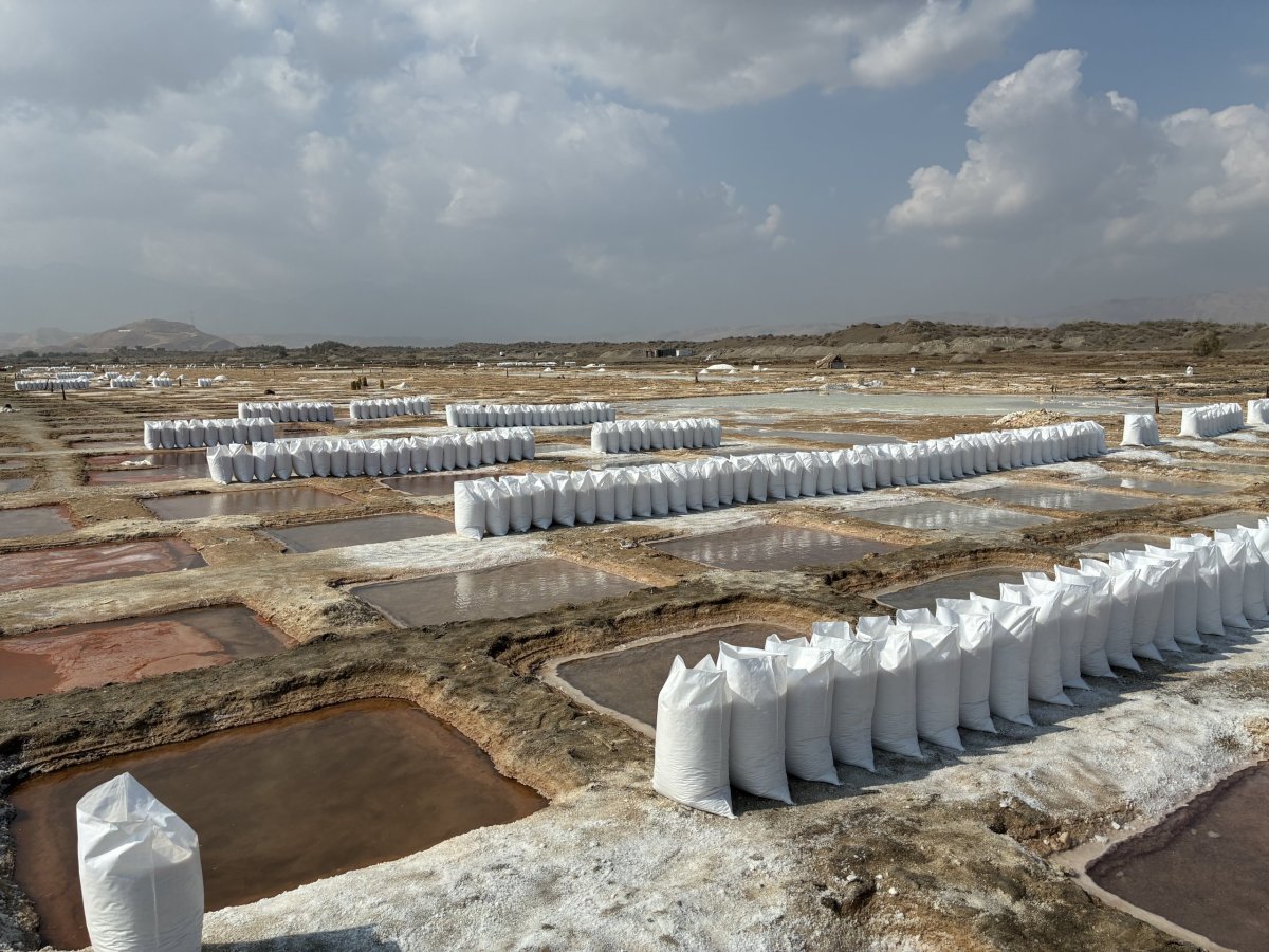 Solné pláně u Qurayyaru