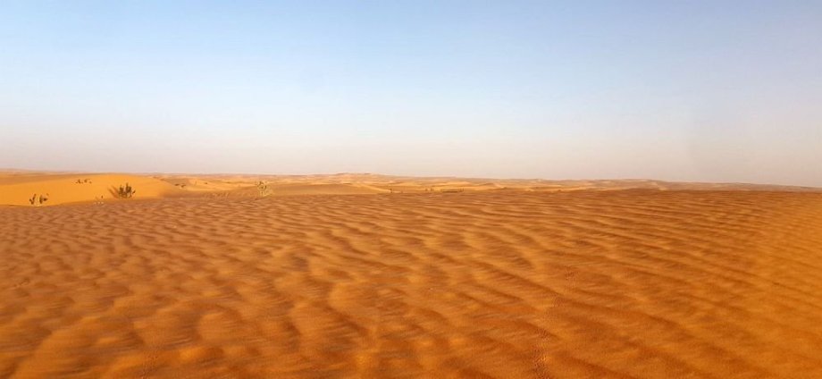 Sahara