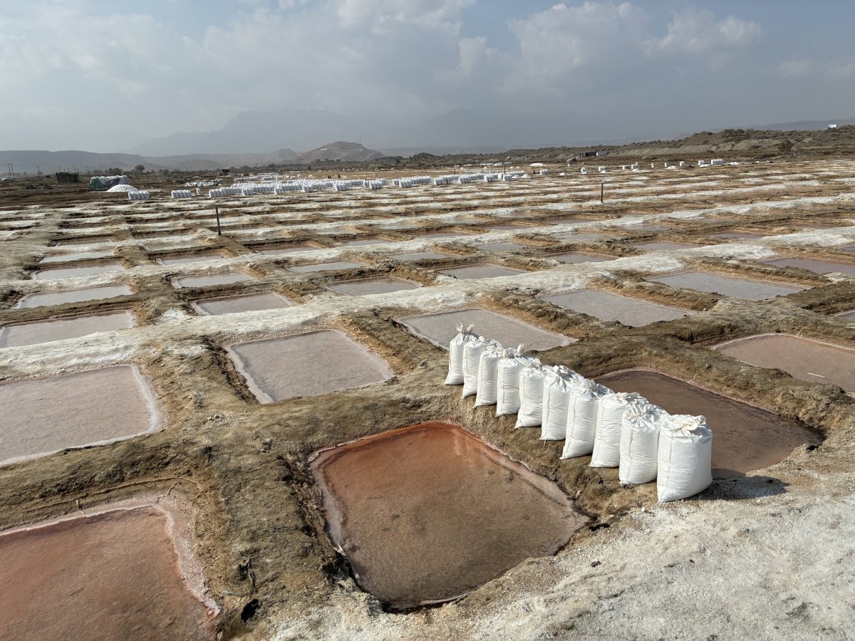 Solné pláně u Qurayyaru