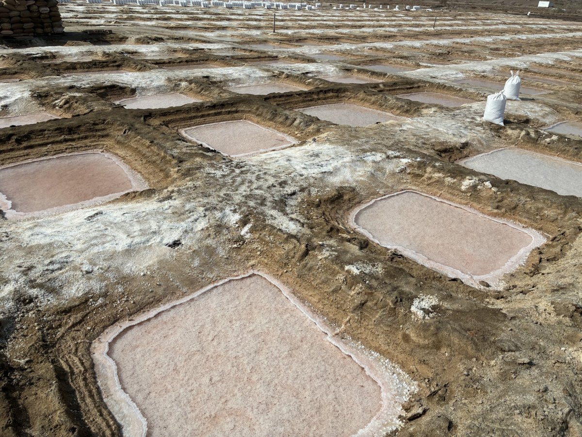 Solné pláně u Qurayyaru