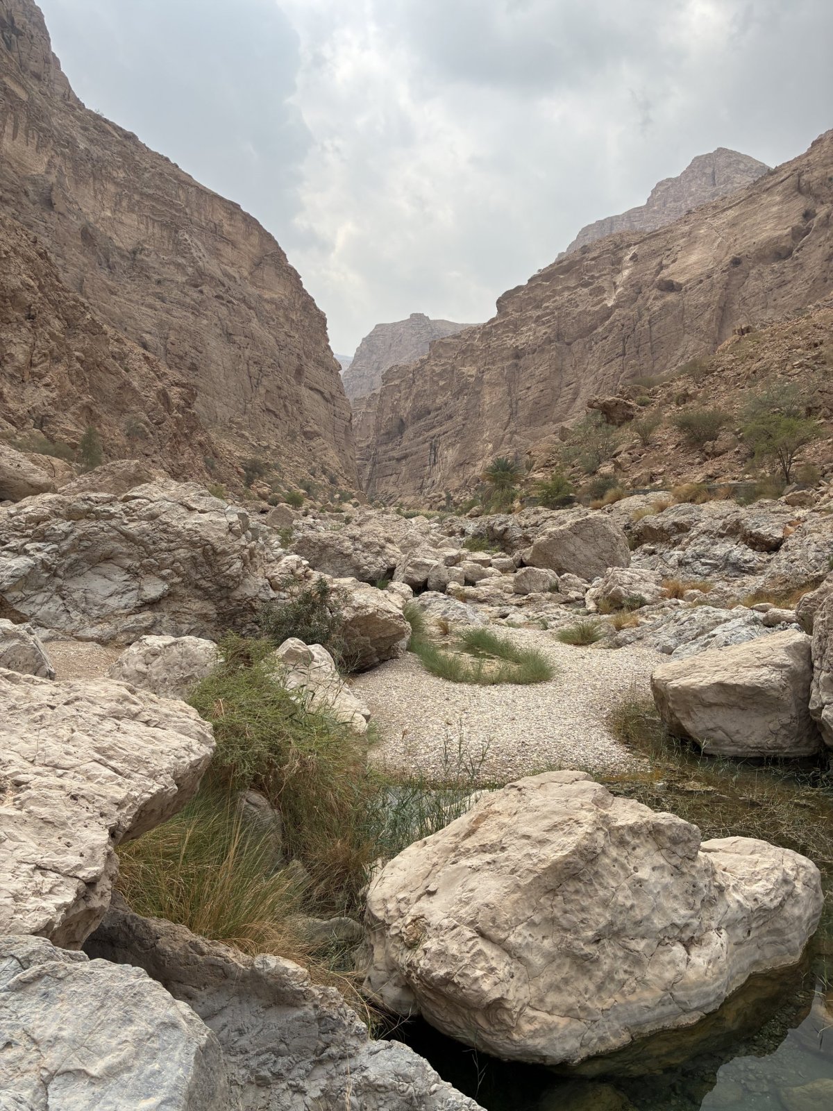 Wadi Al Arbeeien